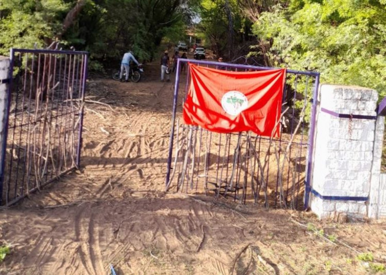 Mst Volta A Invadir Fazenda Da Embrapa Em Pernambuco