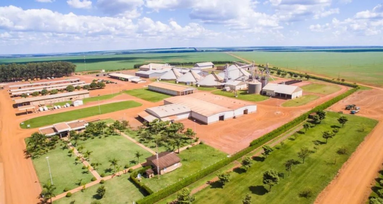 Gigante Do Agro Bate Recordes De Produtividade E Sustentabilidade