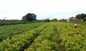 Ministérios assinam acordo para impulsionar programa de agricultura familiar no Brasil