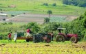 SP quer internet em 100% de áreas agrícolas até 2026