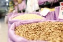 Paraná divulga nova estimativa de crescimento para Safra 22/23