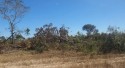 Produtor rural recebe multa de quase R$ 1 milhão e tem 970 hectares embargados em MT