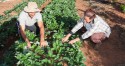 Goiás apresenta lista de agricultores aprovados para o PPA 2023, mas ainda cabem recursos
