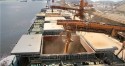 Confederação de Agricultura vai mapear desafios para acesso ao mercado internacional