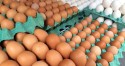 Com menor demanda, preço do ovo cai mas segue acima de 2022