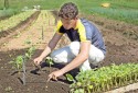 Senado encaminha projeto que incentiva permanência dos jovens no campo