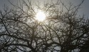 Meteorologia alerta para baixa umidade na região Centro-Oeste