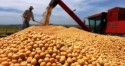 Estimativa de produção de grãos ultrapassa 32 milhões de toneladas em Goiás