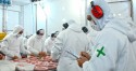 RS abre mercado de carne suína para a República Dominicana