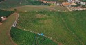 Produção agropecuária do ES bateu R$ 24,2 bilhões em 2022