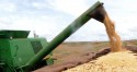 Líder mundial, Brasil é referência no desenvolvimento de tecnologias sustentáveis para produção de soja