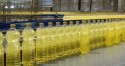 Demanda por biodiesel causa alta do preço do óleo de soja