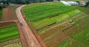 Iniciado o prazo para Declaração do Imposto Territorial Rural