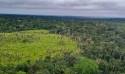 Indígenas do Acre lideram ações de reflorestamento na Amazônia