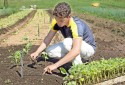 Senado aprova Política de Estímulo ao Empreendedorismo do Jovem do Campo