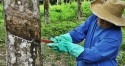 Brasil eleva alíquota de importação para borracha natural
