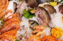 SP realiza festa em apoio à Semana do Pescado