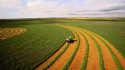 Levantamento apontou aumento de 1,2% nos preços dos produtos do agro em julho