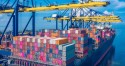 Entidade traça estratégias para ampliar exportações do agro para a China
