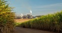 Em busca de alternativas energéticas verdes, São Paulo estuda parceria com setor sucroalcooleiro