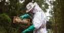 Comissão aprova projeto de crédito presumido para produtores de mel