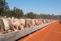 PL da Câmara altera regra de contratos de parceria rural para confinamento de animais