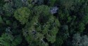 Amazonia vai sediar final de competição sobre mapeamento de biodiversidade