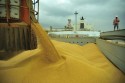 Embarques de soja batem 5.4 milhões de toneladas