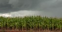 Frio e umidade marcam final de agosto na região Sudeste