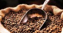Café fecha agosto com cotação em alta