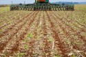 Produtores rurais já podem iniciar plantio da soja