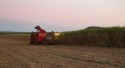 Setor sucroalcooleiro é destaque nas exportações do agro paulista