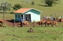 Lei aprovada no Congresso garante direitos e dá segurança jurídica à propriedade rural
