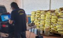 Operação apreende agrotóxicos e 61 sementes ilegais