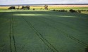 Eficiente, agro ocupa apenas 10% do território nacional, aponta estudo