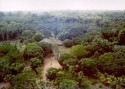 Comissão que analisa delimitação da Terra Indígena Kapôt Nhinore vota relatório