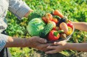 Conab atualiza lista de produtos com desconto do Programa de Garantia de Preços
