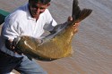 Período de Defeso do Tambaqui vai até março do ano que vem