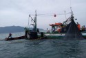 SP: Instituto orienta pescadores para obter licença pelo PesqBrasil