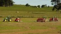 Semeadura do arroz avança no RS
