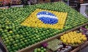 Brasil dá posse a adidos agrícolas