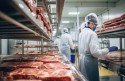 Brasil está habilitando 36 plantas de carne suína para exportação à República Dominicana