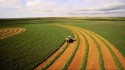 Agro brasileiro exporta US$ 13,38 bilhões em outubro