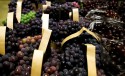 Alta demanda por uvas brasileiras impulsiona exportações