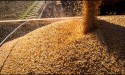 VBP do agro brasileiro atinge R$ 1,151 trilhão até final de outubro