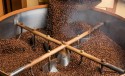 Impactos do El Niño nas lavouras preocupa produtores de café