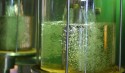Com negócios aquecidos, usinas paulistas ampliam oferta de etanol hidratado