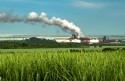 Aumento da produção de cana-de-açúcar tem impacto positivo no setor de etanol