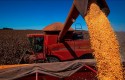 Sob efeitos do clima, safra de grãos 2023/24 deve ficar abaixo da temporada passada