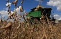 Clima favorece colheita e venda da soja em dezembro